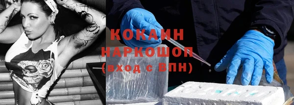 индика Абинск