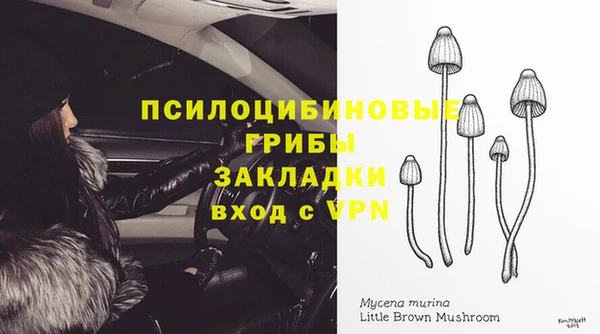 индика Абинск