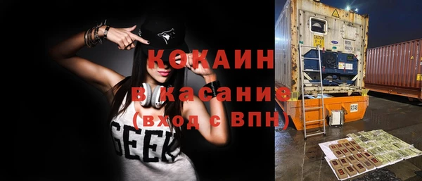 индика Абинск