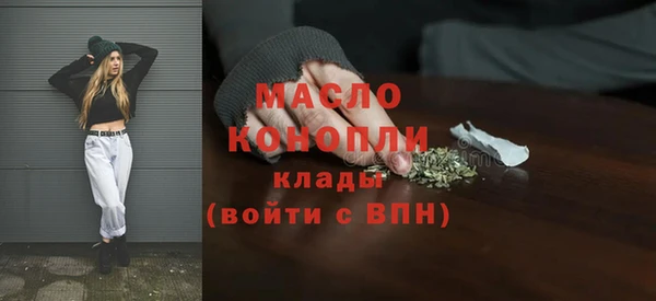 гидра Каменка