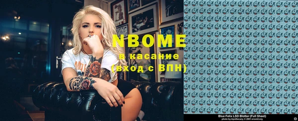 индика Абинск