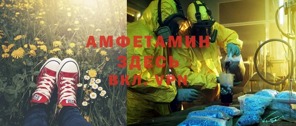 индика Абинск