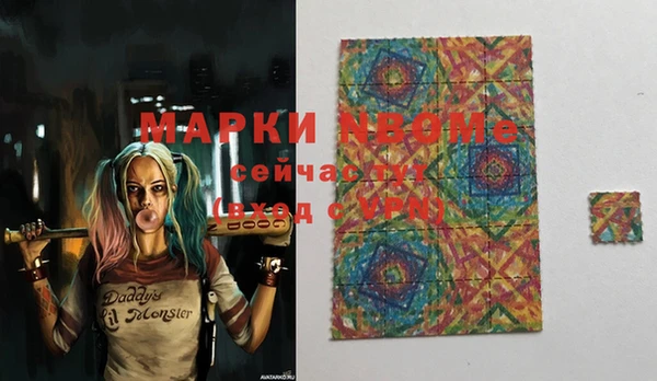 индика Абинск