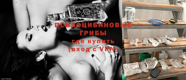 индика Абинск