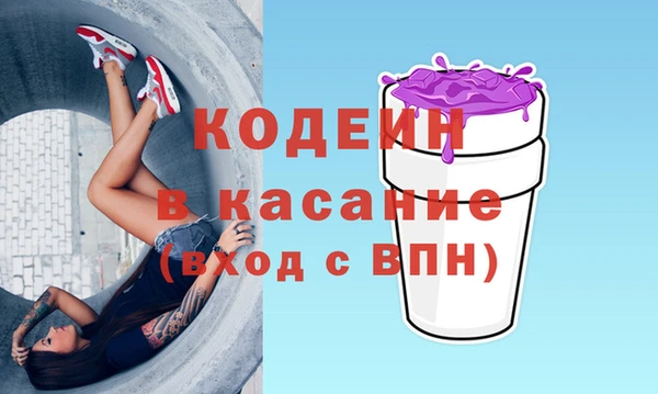 индика Абинск